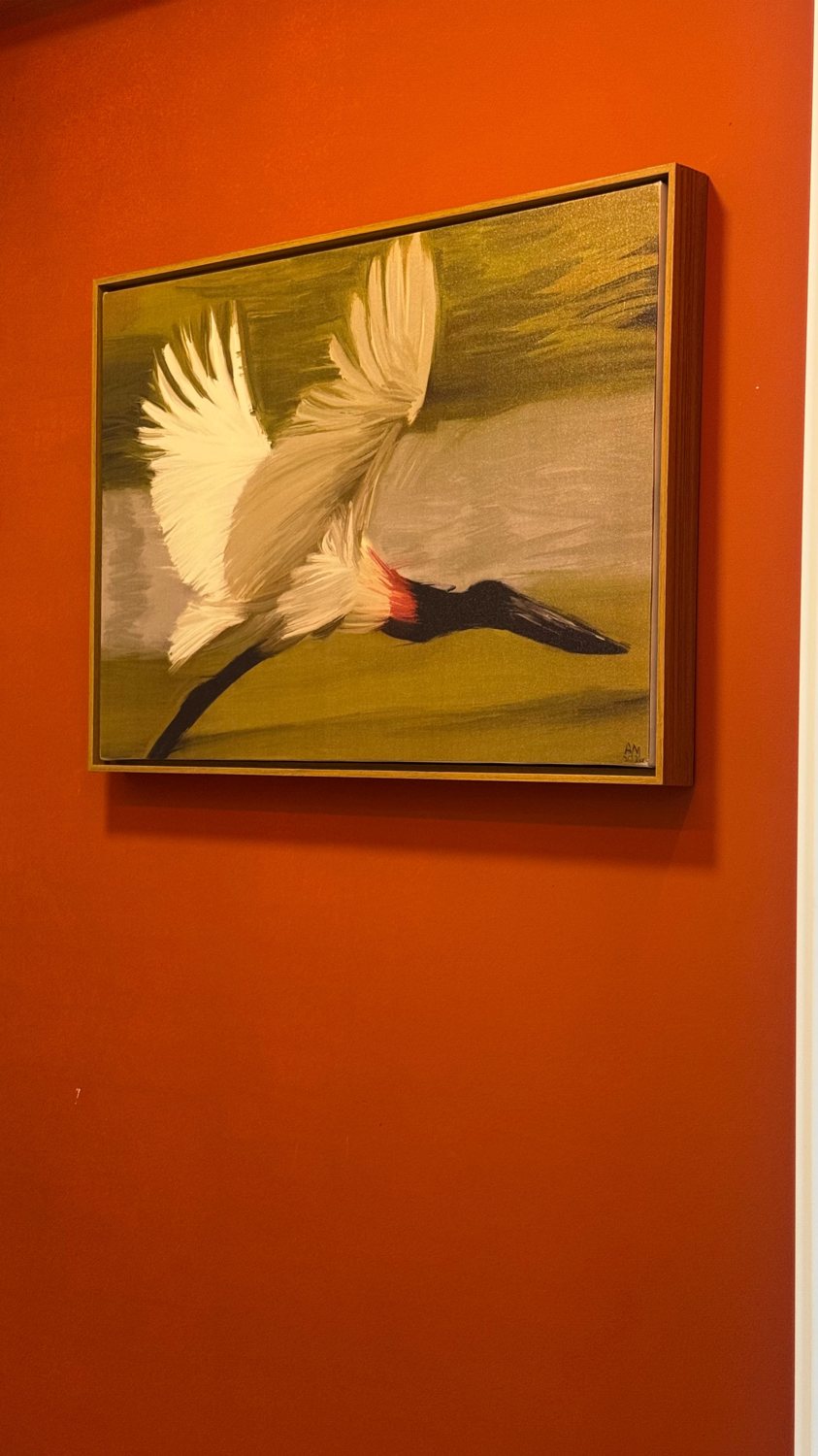 Verde do Pantanal, o tuiuiú em voo